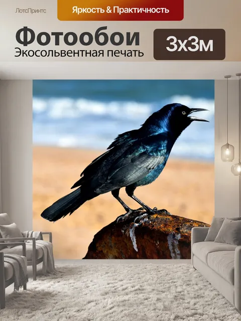 Фотообои Черная птица фон