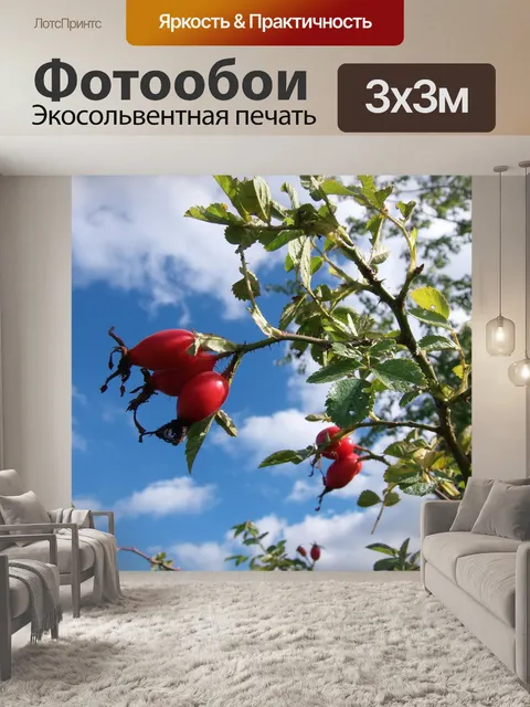 Фотообои Шиповник