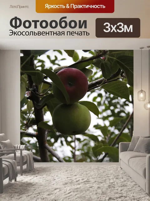 Фотообои Два яблока