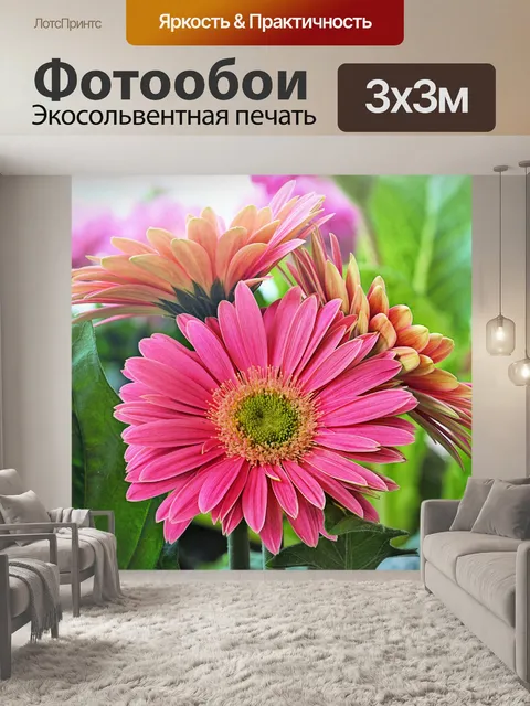 Фотообои Цветочная розовая ромашка