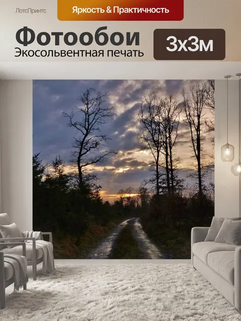 Фотообои Лесная тропа