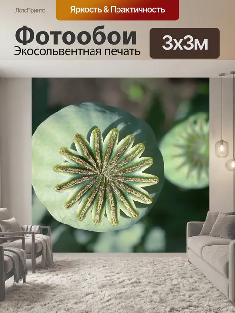 Фотообои Маки