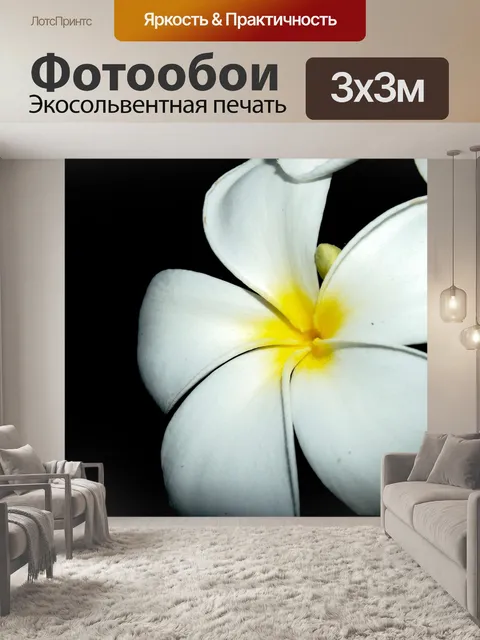 Фотообои Плюмерия Цветы