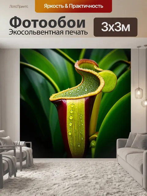 Фотообои макросъемка непентесов в ботаническом саду будапешта