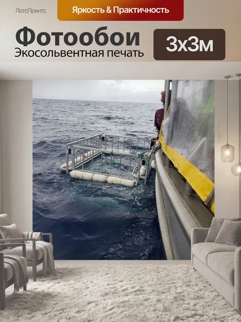 Фотообои Акула Танк