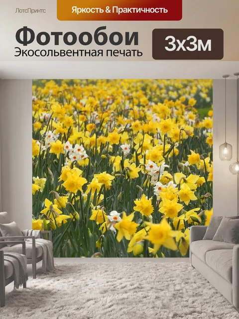 Фотообои Нарцисс
