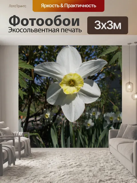 Фотообои Дача