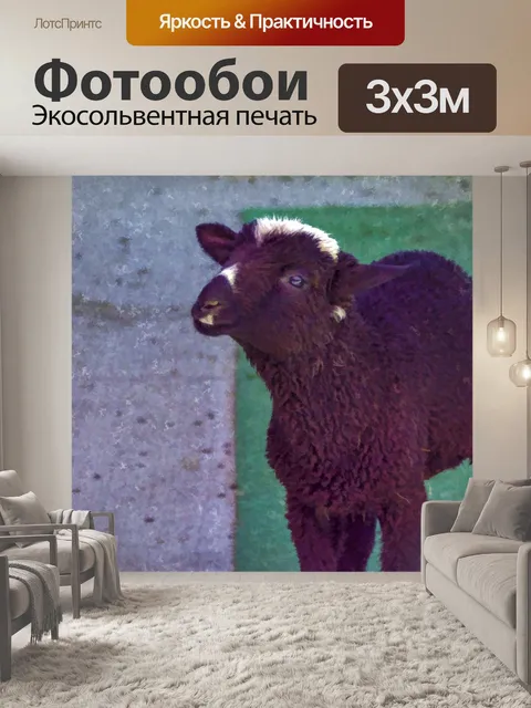 Фотообои ягненок
