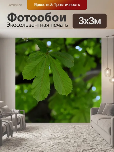 Фотообои Изображение на заднем плане