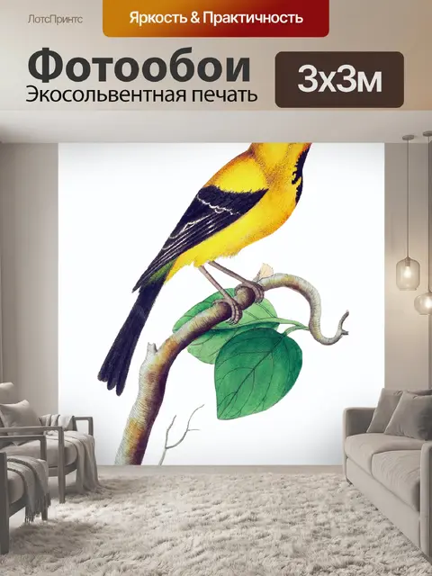 Фотообои Птица тропических старинных искусства