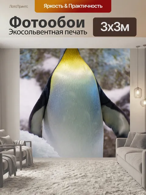 Фотообои Королевский пингвин
