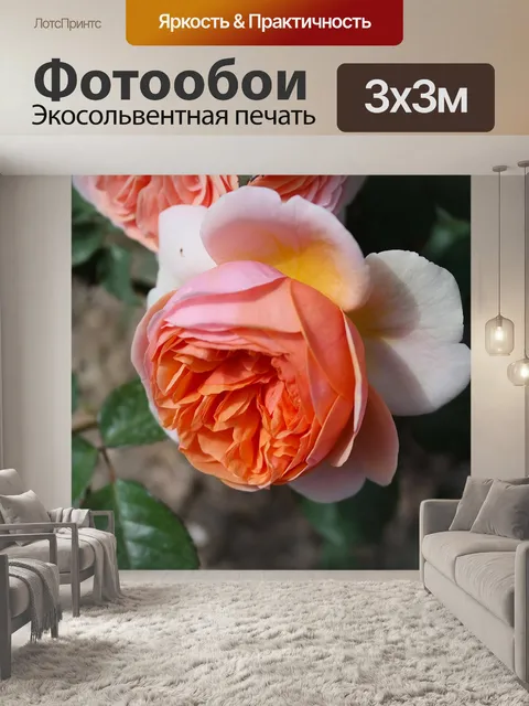 Фотообои Сад