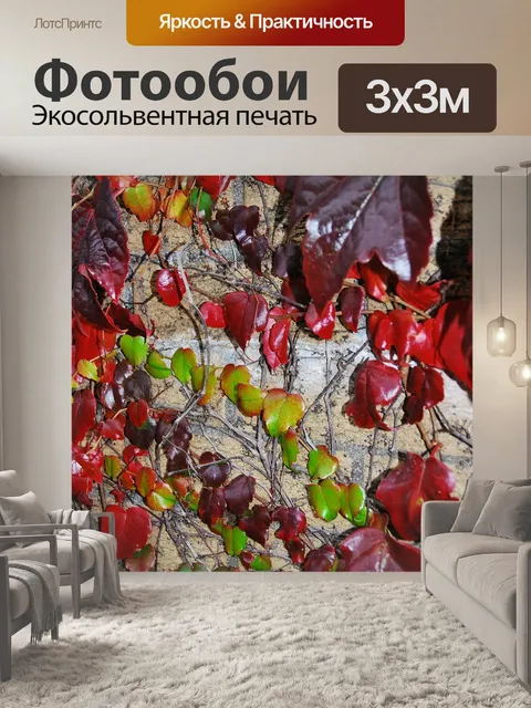Фотообои Осень