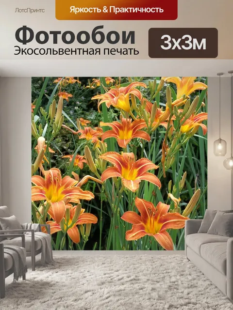 Фотообои Апельсин
