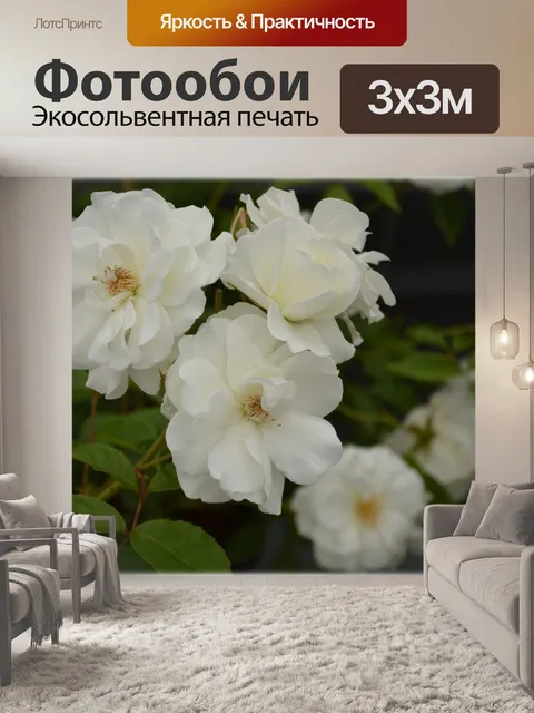 Фотообои Голландские цветы в садах 69