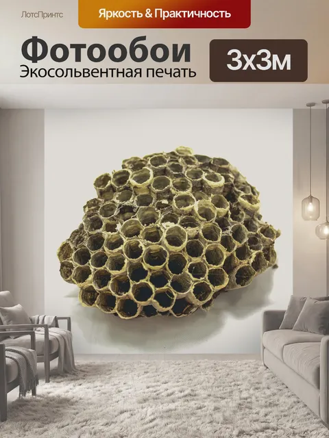 Фотообои Пчелиный улей мед