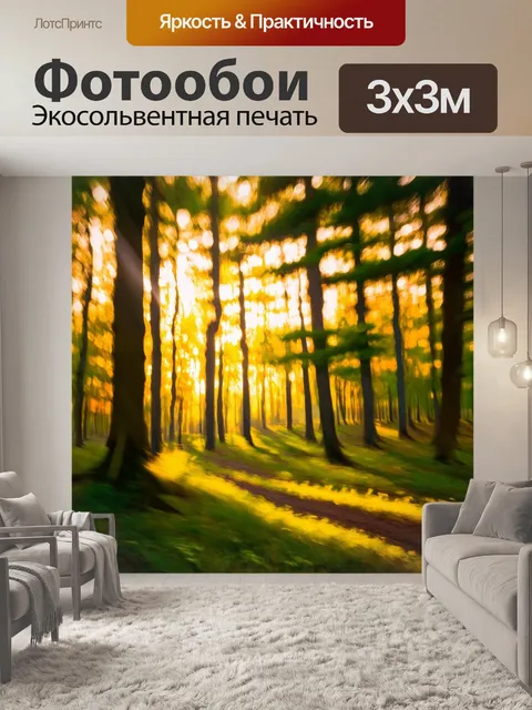 Фотообои утро, магический лес с мягким светом, пробивающимся сквозь листву, остаться безмолвным свидетелем рассвета