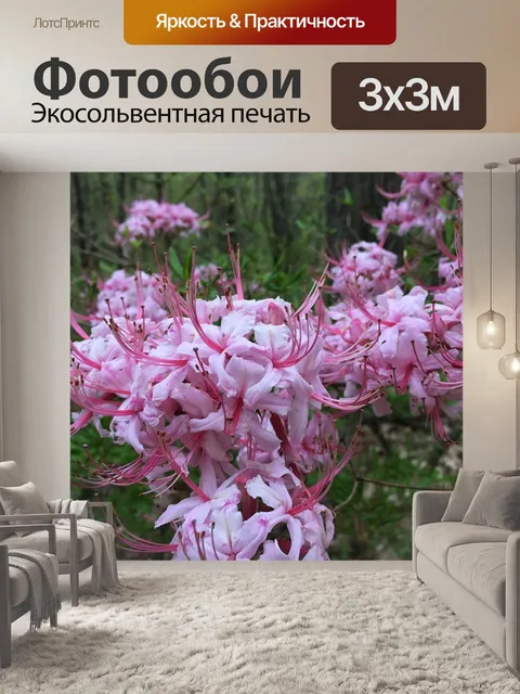 Фотообои Цвести