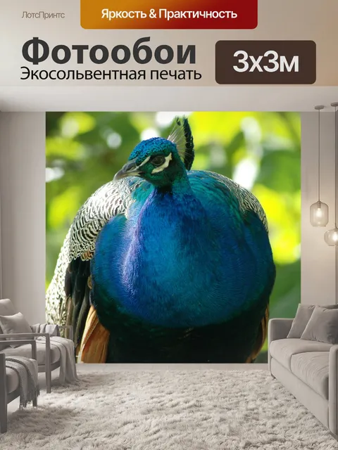 Фотообои Павлин