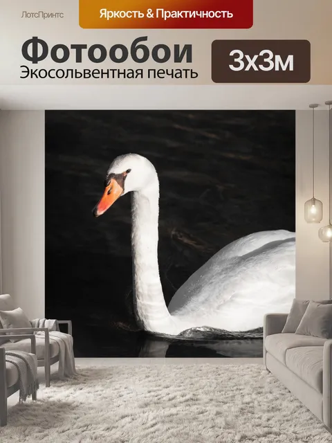 Фотообои Лебедь на воде