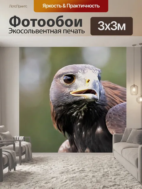 Фотообои Золотой орёл