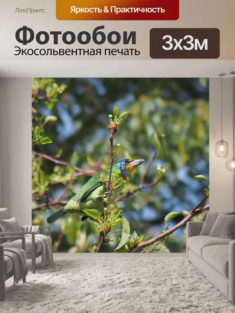 Фотообои Пятицветная птица