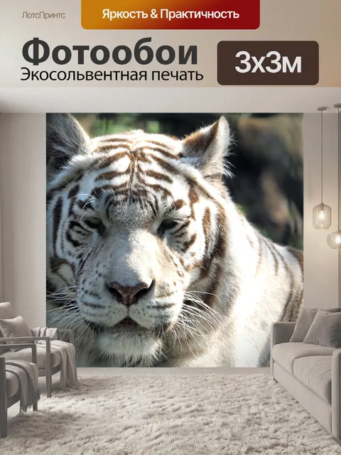 Фотообои Тигр