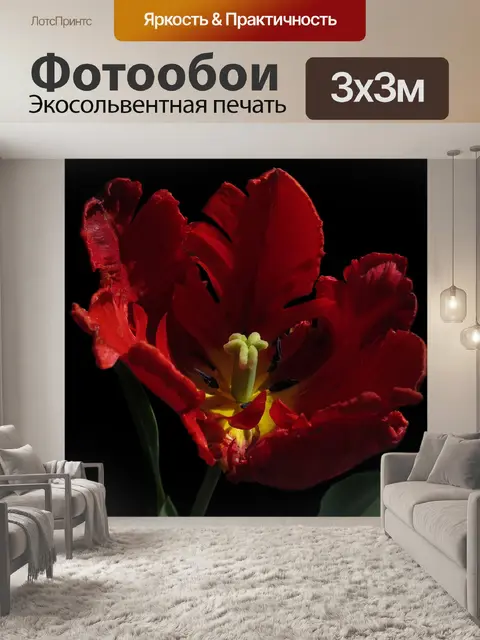 Фотообои Тюльпан
