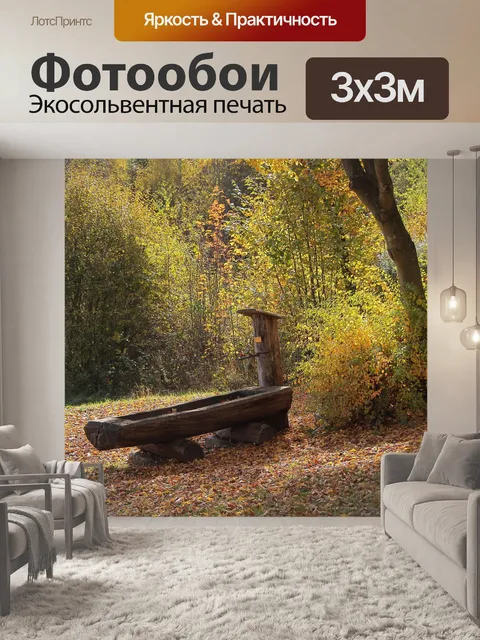 Фотообои Осенний лес