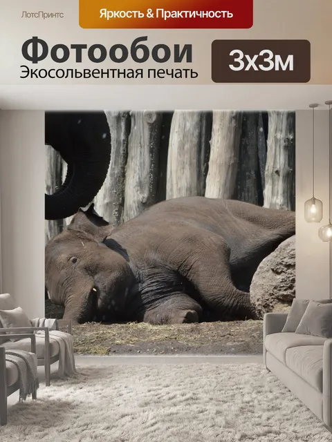 Фотообои В ванне со слонами 09