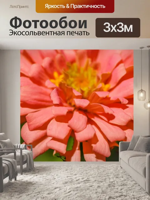 Фотообои красочный цветок макро выстрел