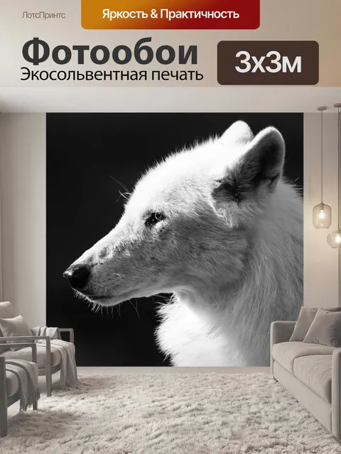 Фотообои Арктический волк