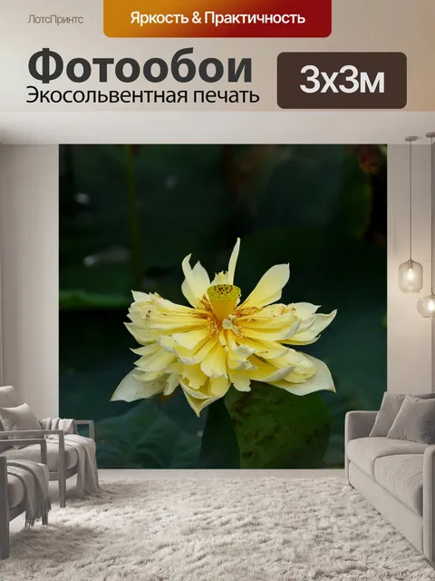Фотообои Золотой лотос