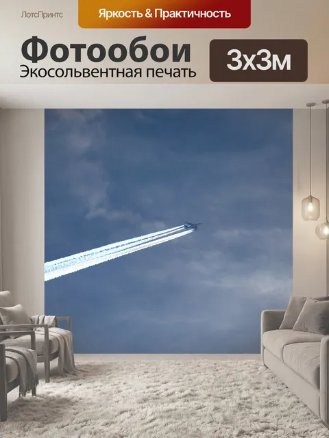 Фотообои Летающий