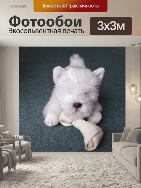 Фотообои Собака и кость
