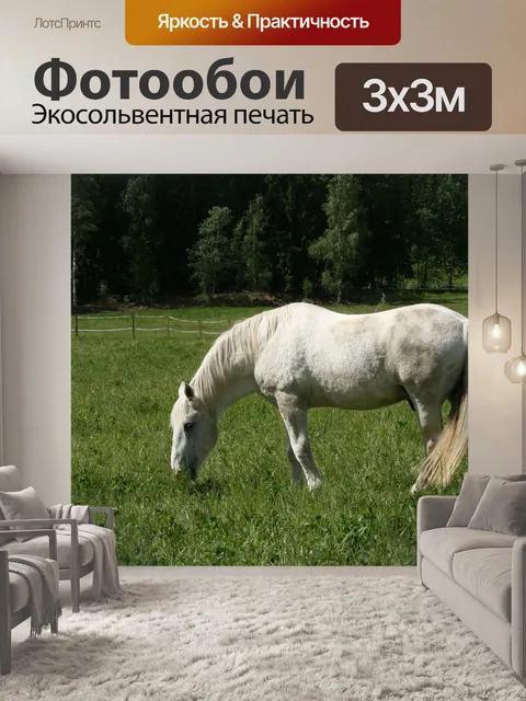 Фотообои Белая лошадь