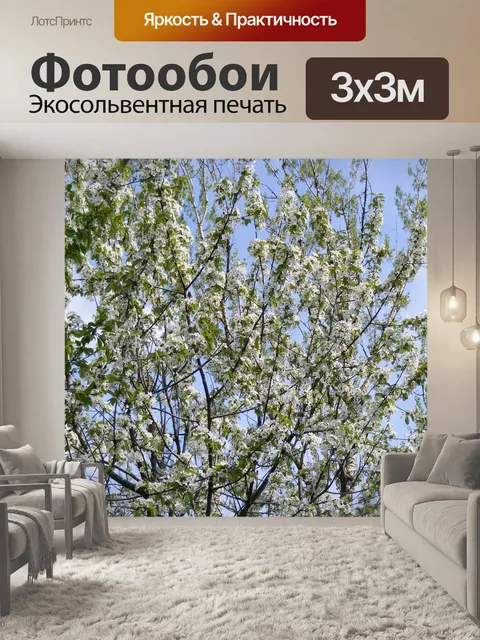 Фотообои Белый