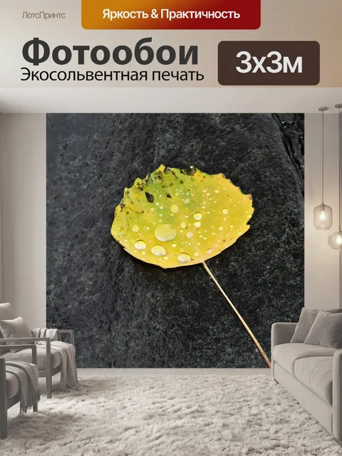 Фотообои Падение