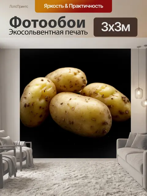 Фотообои бельгийский картофель