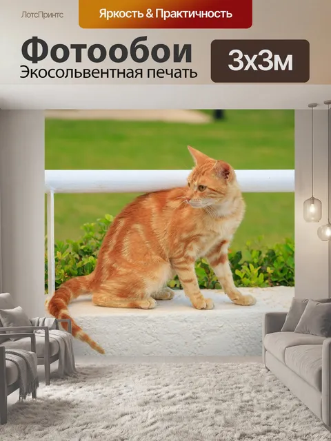 Фотообои Рыжий кот на заборе,