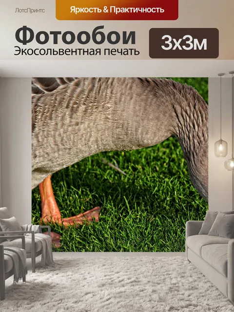 Фотообои Гусь