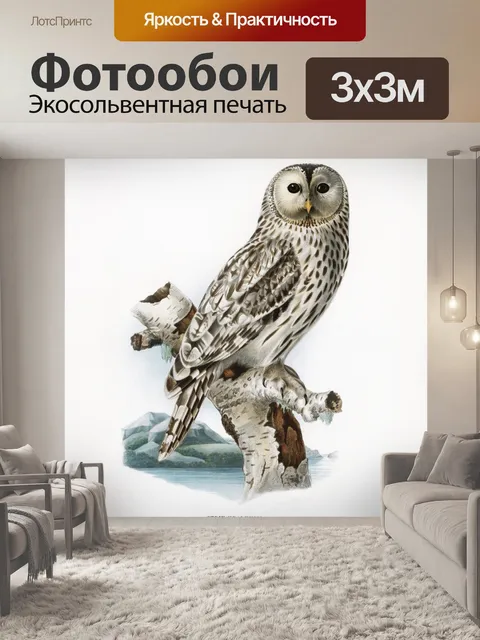 Фотообои Сова старинный плакат старый