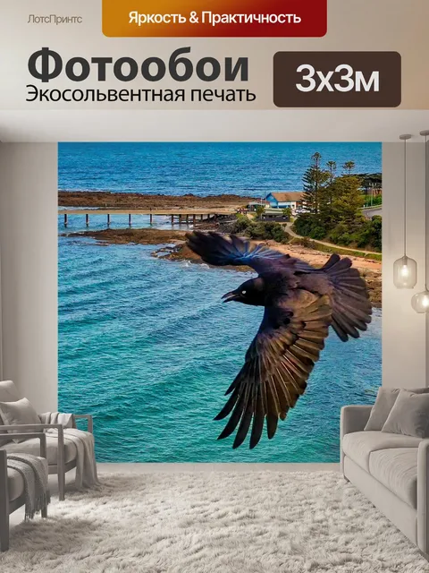 Фотообои Ворон воронки