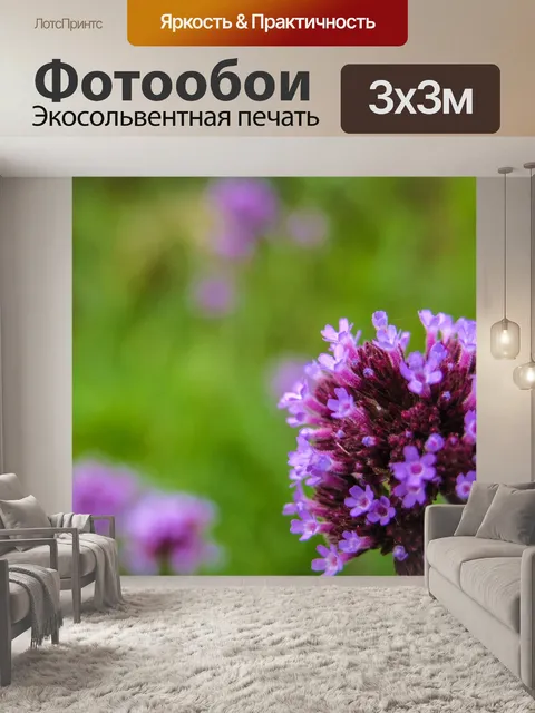 Фотообои Фиолетовый