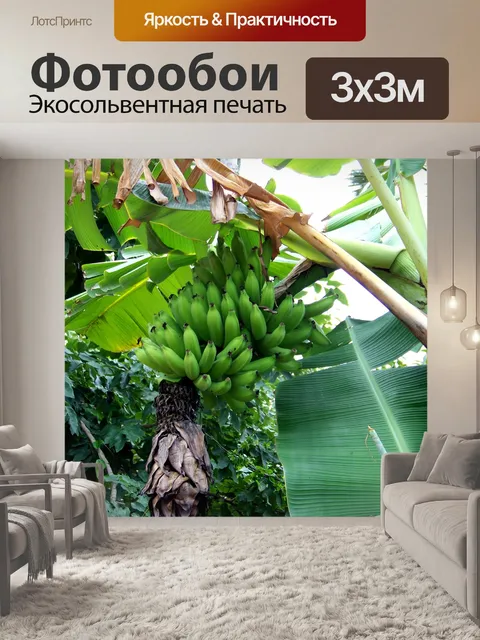 Фотообои Банановое дерево