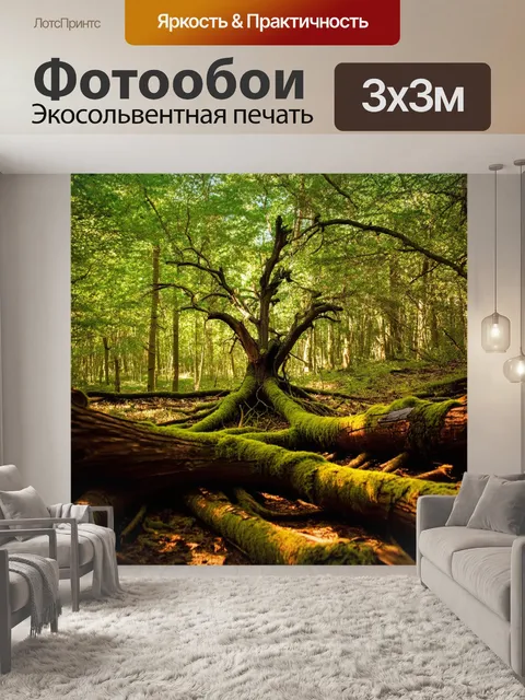 Фотообои лесная поляна с сухим деревом в центре, обвиваемым мхом