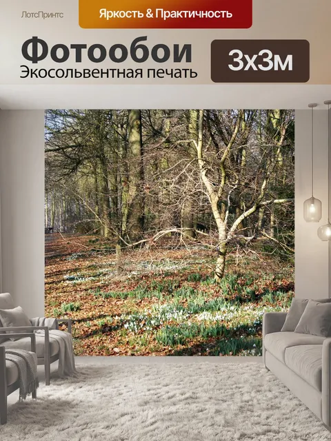 Фотообои Мороз