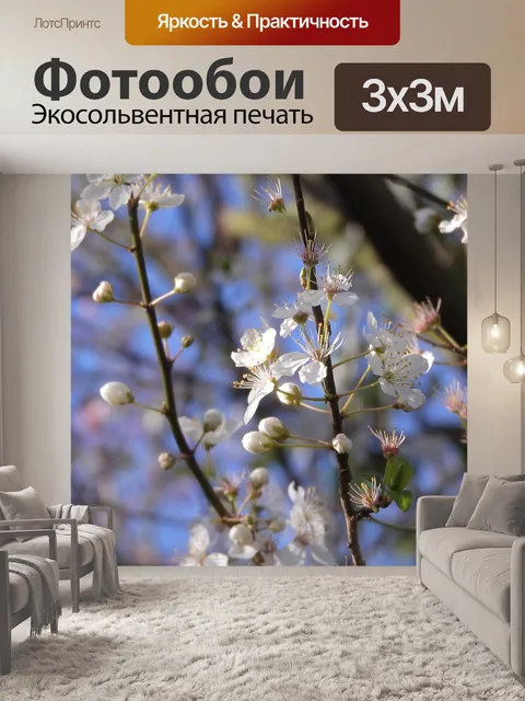 Фотообои Белые цветы