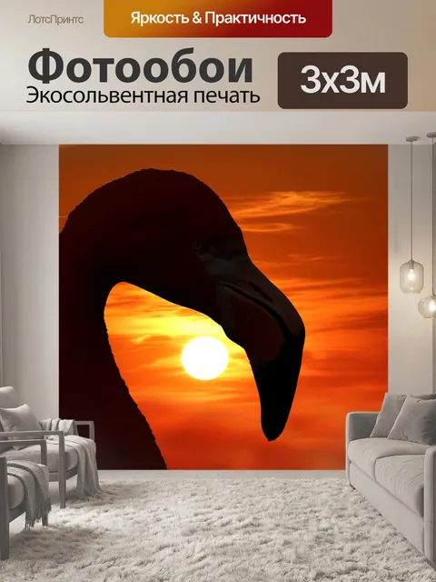 Фотообои Фламенко Силуэт заката