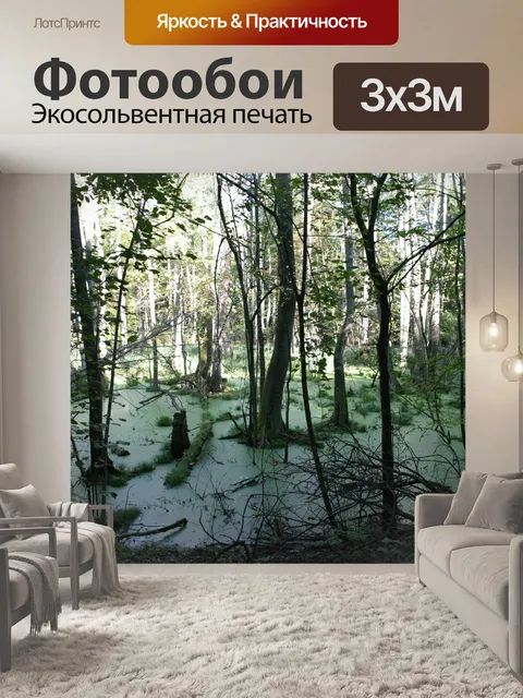 Фотообои Болото лес в лучах солнца